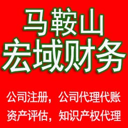 和县马鞍山验资，资产评估，无形资产评估